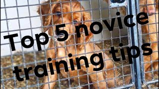 five top tips for training a working spaniel [upl. by Lenard]