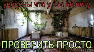 Как проверить влажность в квартире [upl. by Alberic]