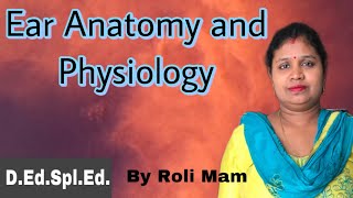 Ear anatomy and physiology  By Roli Mam specialeducation [upl. by Oelak]