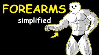 Bodybuilding Simplified Forearms [upl. by Geiger]