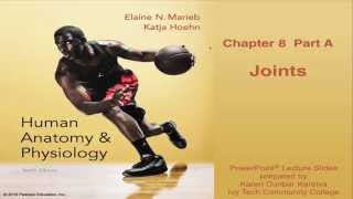 Anatomy amp Physiology Chapter 8 Lecture Part A  Joints [upl. by Jakoba]