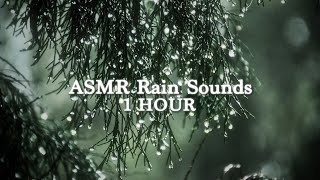 ASMR Rain Sounds for Relaxation  1 Hour [upl. by Norita]