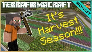 Its Harvest Season  Terrafirmacraft [upl. by Mechling]