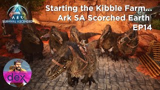 Starting the Kibble Farm Ark Survival Ascended Scorched Earth [upl. by Pergrim]