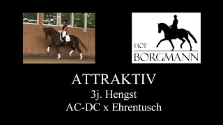 ATTRAKTIV  Hof Borgmann  Juni 2020 [upl. by Esidnak839]