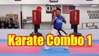 KARATE for Beginners  Lesson 4  Karate combo [upl. by Nerraj159]