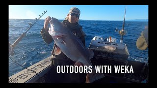 Offshore fishing with Weka in the Hokitika Trench New Zealand South Island [upl. by Migeon]