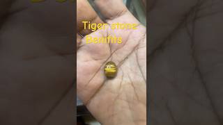 Tiger stone benifits 😱😱😱 [upl. by Amero700]