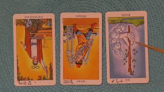 Daily Political amp Collective Tarot Sun 11172024 Whos not getting away with it Trump upside down [upl. by Enneiviv]