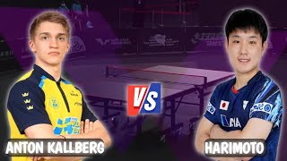 Tomokazu Harimoto vs Anton Kallberg WTT Champions Montpellier 2024 [upl. by Klusek]