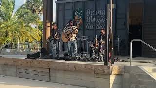 Society Trio Band playing at Sawgrass Grove in The Villages Fl [upl. by Azilem]