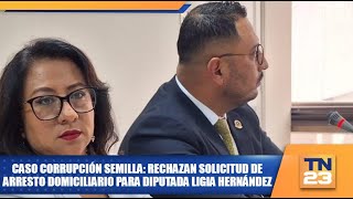 Caso Corrupción Semilla Rechazan solicitud de arresto domiciliario para diputada Ligia Hernández [upl. by Werdna545]