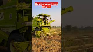 Harvestar dhan🌾👳cutai chalu part 2  punjab harvester [upl. by Spiegel]