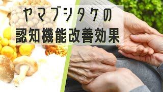 ヤマブシタケの認知症を改善する効果に関する研究（テロップ付き） [upl. by Mia]