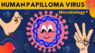 Human Papilloma Virus Microbiology  Morphology Clinical presentations Diagnosis Treatment [upl. by Guarino79]