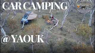 CAR CAMPING  YAOUK with ARCHIE [upl. by Enajyram]