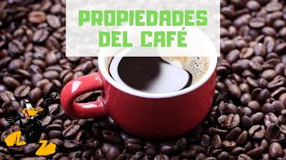 10 Propiedades del Café 🤔 ¡BENEFICIOS DEL CAFE [upl. by Cence]