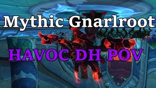 NOCCO vs Mythic Gnarlroot  Havoc DH pov [upl. by Skye]