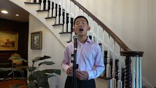 No Matter What  Benjamin Zhang  Calum Scott Cover [upl. by Russell160]