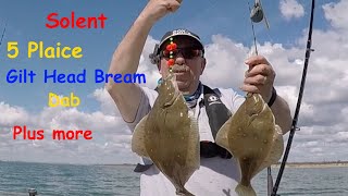 Five Plaice  Gilt Head Bream  Dab plus more [upl. by Robb]