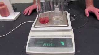 Video Demonstration Observing Chemical Reactions [upl. by Nettle]