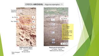 Taxonomía de Suelos 10 Orden Aridisol [upl. by Nyar908]