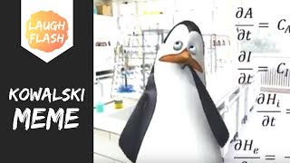 Kowalski ANALYSIS Meme [upl. by Rodmur]