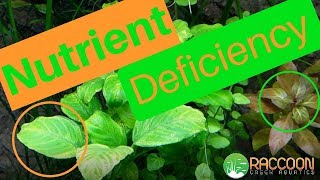 How I Diagnosed and Fixed NUTRIENT DEFICIENCY in My AQUARIUM PLANTS [upl. by Cis]