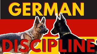 3 ways to correct unsocial behavior with a dominant reactive German Shepherd [upl. by Ayortal543]