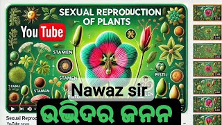 Sexual Reproduction of Plants  Pollination  biology class [upl. by Halik849]