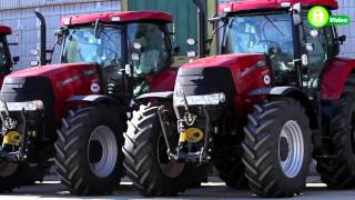 Új Case IH 170 traktorok a Dalmand Zrt nél  Az Invest Kft költségtakarékos traktorai [upl. by Calla242]