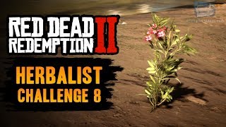 Red Dead Redemption 2 Herbalist Challenge 8 Guide  Use Oleander to craft 6 poison weapons [upl. by Erlin]