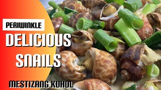 How to Cook Periwinkle Snails or KUHOL The Best with Coconut Mik [upl. by Enyalb]