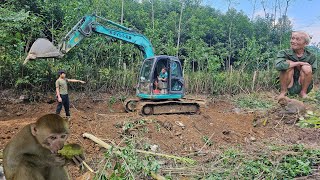 Rent an excavator to expand the garden renovate the garden [upl. by Orlantha]