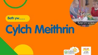 What is a Cylch Meithrin  Beth yw Cylch Meithrin [upl. by Wall66]