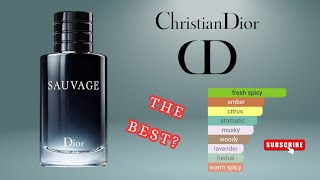 Dior Sauvage EDT Perfume Review  Still Worth in 2024 [upl. by Amoreta]