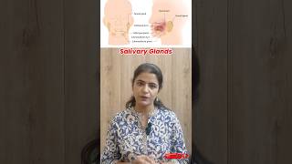 Salivary Glands Explained Types Functions and Ducts  Parotid Submandibular amp Sublingual Glands [upl. by Yolanthe926]