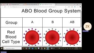 ABO Blood Groups amp Rh Blood Group System  Biology Chapter 22  Professor Zia Ul Haq  Unique LDA [upl. by Moynahan762]