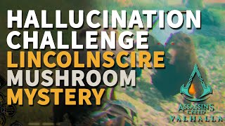 Lincolnscire Mushroom Mystery Assassins Creed Valhalla Hallucination Challenge [upl. by Christine720]