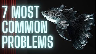 7 Most Common Problems with Keeping Guppies [upl. by Annaeel]