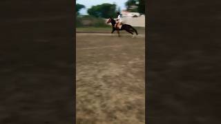 ghazi horse race shorts like sharesubscribe coment UGR TENT PEGGING [upl. by Lledo]