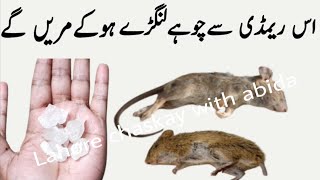 Rat killer  rat killer home remedies  rat trap  rat poision  rat  chuhe marne ka tarika [upl. by Valdas]