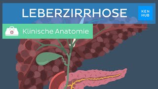 Leberzirrhose Ursachen Symptome Diagnose Behandlung  Kenhub [upl. by Noelyn709]