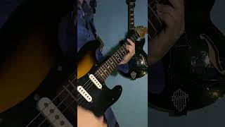 Freaks  Surf Curse Cover guitar [upl. by Enovad]