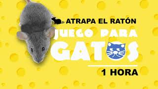 Video de ratones para gatos 1 hora🐱🐭 [upl. by Couchman]