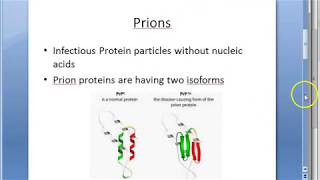 Microbiology 551 b Prion Disease PrPSc Protein Scrapie Sheep Kuru CJD Spongiform encephalopathy [upl. by Dodie]