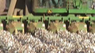 west Texas cotton harvest2 [upl. by Eaj]