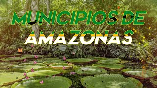 Municipios del departamento de Amazonas  Colombia [upl. by Swigart]