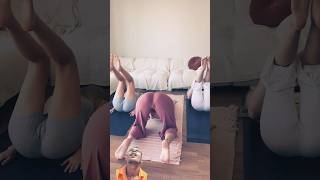 Filpping my dog 🤸yoga downwarddog threeleggeddog bridge balance [upl. by Charyl]