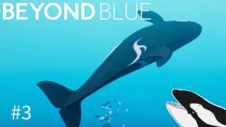 IN OPEN OCEAN WE GO Beyond Blue Gameplay 2 [upl. by Ayalahs]